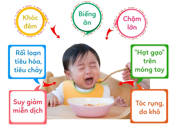 Bổ sung kẽm cho trẻ biếng ăn đúng cách